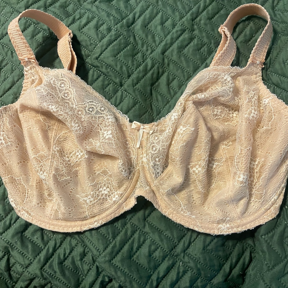 Fantasie Florence Lace Underwire Bra
Size 36H